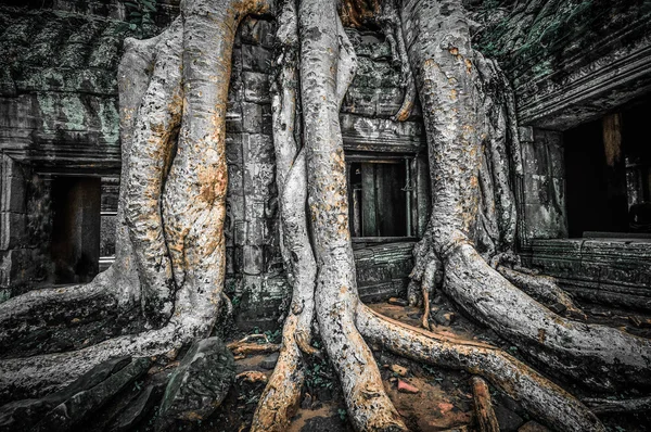 Angkor wat, Kambodża — Zdjęcie stockowe