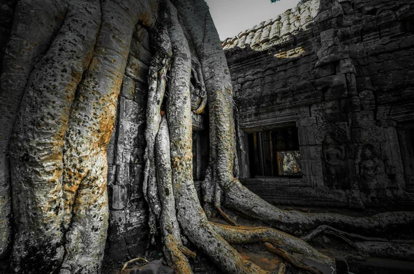 Angkor Wat, Cambodia — Stockfoto