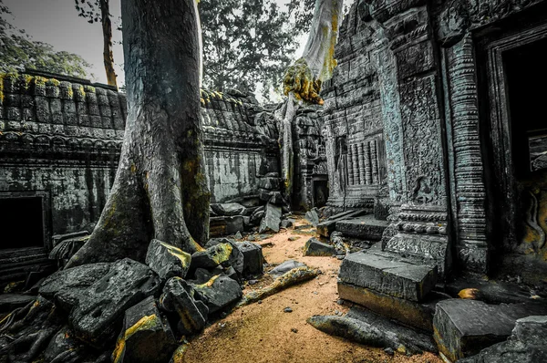 Angkor Wat, Cambogia — Foto Stock