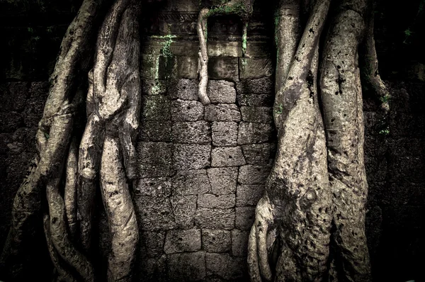 Angkor wat, Kambodża — Zdjęcie stockowe