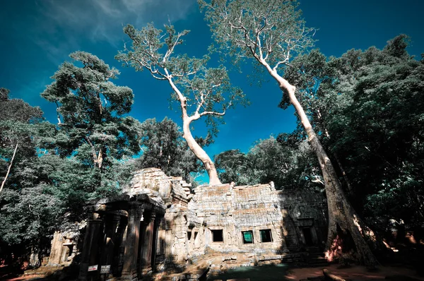 Angkor Wat, Camboja — Fotografia de Stock