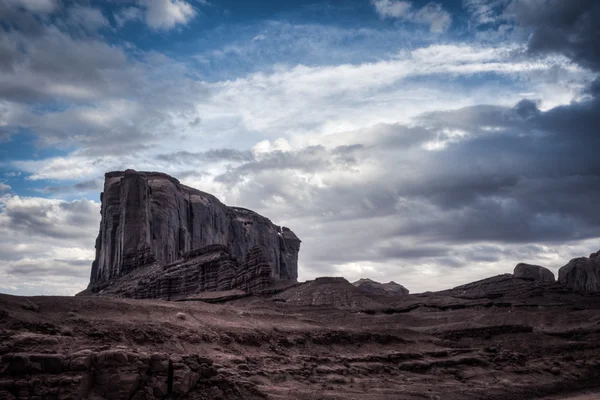 Elefant Monument Valley — Foto de Stock