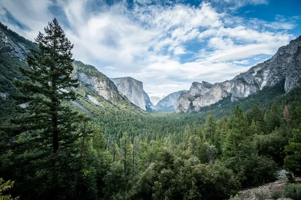 Yosemite el capitan — Stock Photo, Image