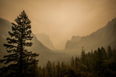 Yosemite view point toz yangın