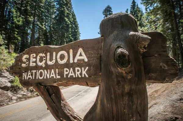 Sequoia σημάδι — Φωτογραφία Αρχείου
