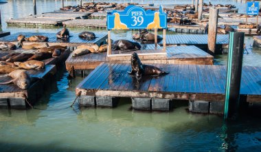 San Francisco pier 39