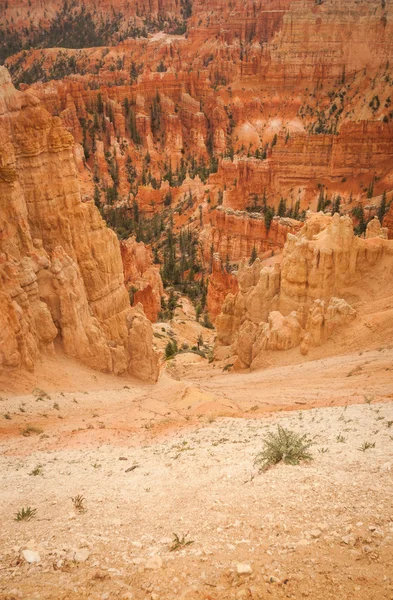Canyon bryce vackra stenar — Stockfoto