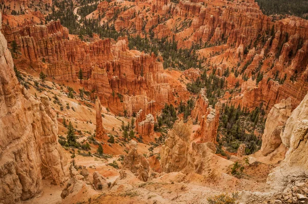 Canyon bryce grote rotsen — Stockfoto