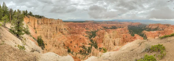 Canyon bryce amfiteater panorama — Stockfoto