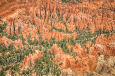 Bryce canyon amfitiyatro Vadisi