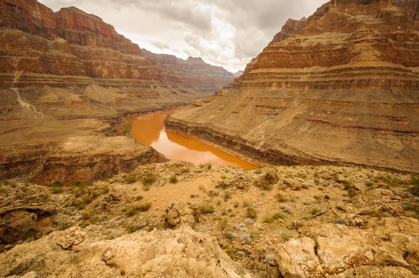 Grand Canyon Colorado river — Stock Photo, Image