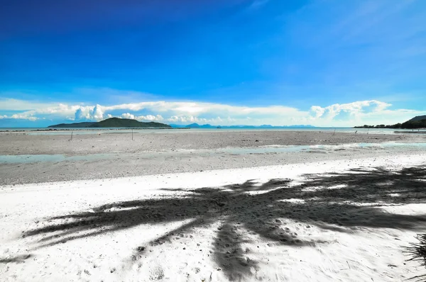 Koh samui ile Hindistan cevizi avuç içi panoramik tropikal plaj — Stok fotoğraf