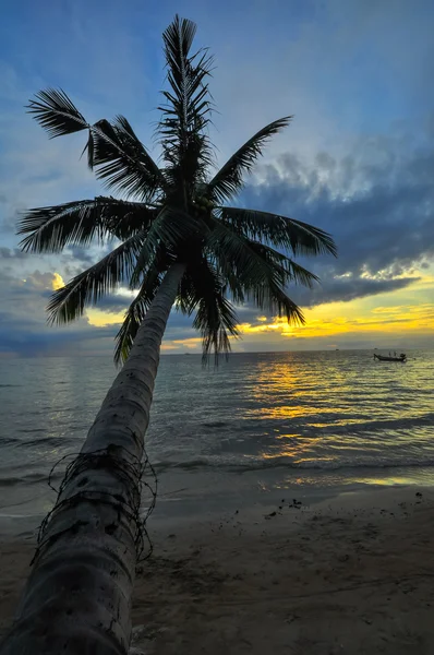 Кокосовые пальмы на песчаном пляже в тропиках на закате. Таиланд, Ко С — стоковое фото