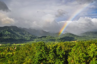 Gökkuşağı orman borobudur yogjakarta Java kompleksi içinde