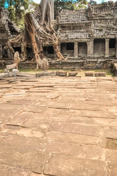 Ancient buddhist khmer temple in Angkor Wat complex, Siem Reap C — Stock Photo, Image