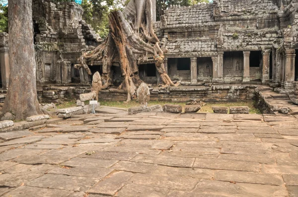 Prastaré buddhistické Khmerská chrám v komplexu angkor wat, siem reap c — Stock fotografie