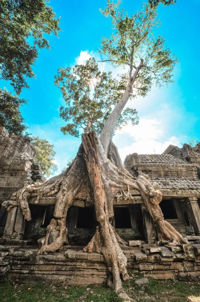 Prastaré buddhistické Khmerská chrám v komplexu angkor wat, siem reap c — Stock fotografie