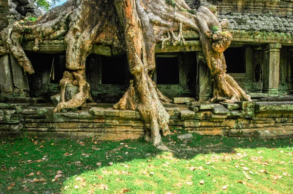 Antico tempio buddista khmer nel complesso Angkor Wat, Siem Reap C — Foto Stock