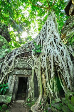 Antik Budist khmer tapınak kompleksi angkor wat, siem reap c