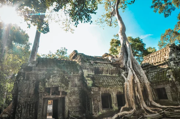 Antico tempio buddista khmer nel complesso Angkor Wat, Siem Reap C — Foto Stock
