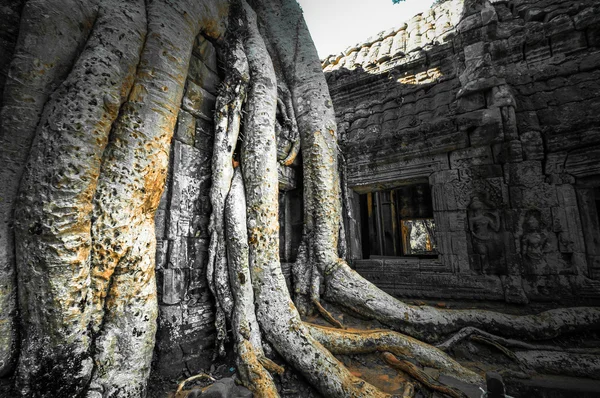 Oude boeddhistische khmer tempel in angkor wat complexe, Siem oogst c — Stockfoto