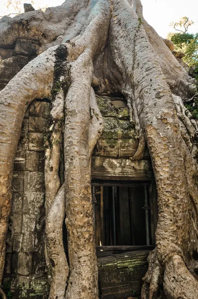 Starożytnej buddyjskiej khmerski świątyni w angkor wat złożonych, siem reap c — Zdjęcie stockowe