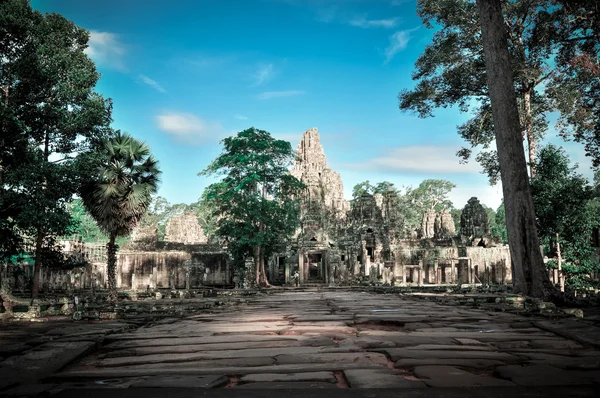 Obří strom pokrývající, ta, ples a chrám angkor wat, siem reap, ca — Stock fotografie