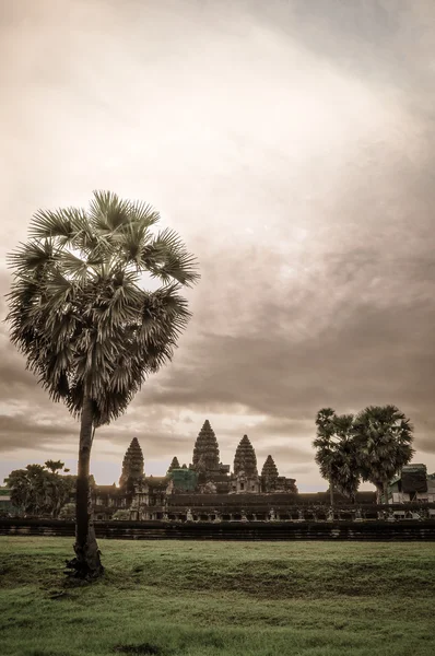 Árbol gigante que cubre el templo de Ta Prom y Angkor Wat, Siem Reap, Ca — Foto de Stock