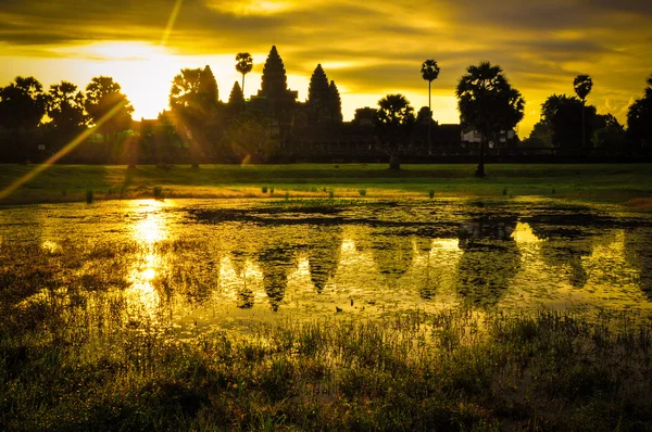 Arbre géant recouvrant le temple Ta Prom et Angkor Wat, Siem Reap, Ca — Photo