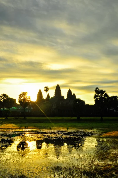 Arbre géant recouvrant le temple Ta Prom et Angkor Wat, Siem Reap, Ca — Photo