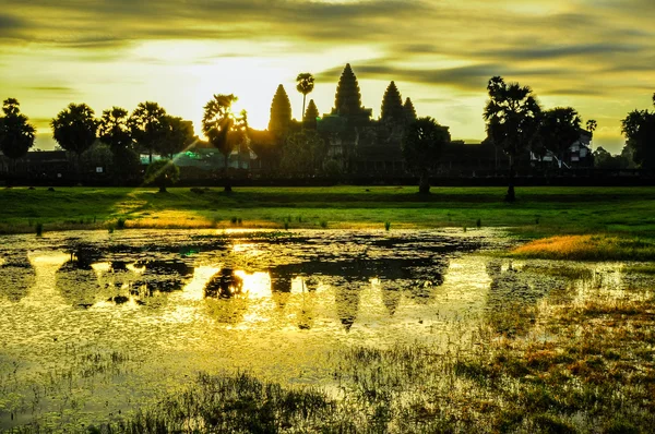 Dev ağaç ta kapsayan balo ve angkor wat Tapınağı, siem reap, ca — Stok fotoğraf