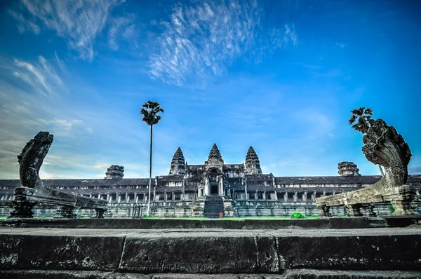 Árbol gigante que cubre el templo de Ta Prom y Angkor Wat, Siem Reap, Ca — Foto de Stock