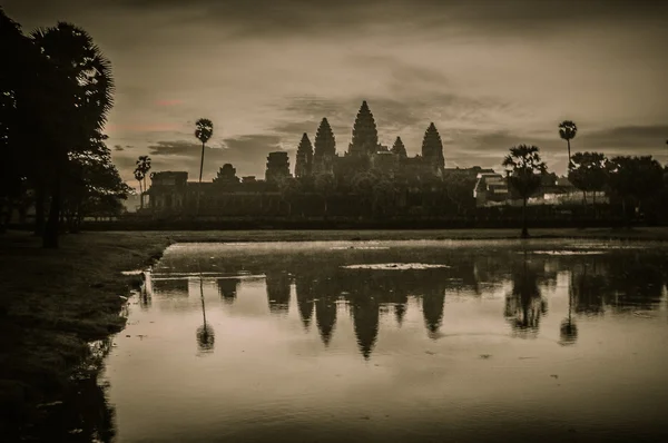 Giant tree covering Ta Prom and Angkor Wat temple, Siem Reap, Ca — Stock Photo, Image