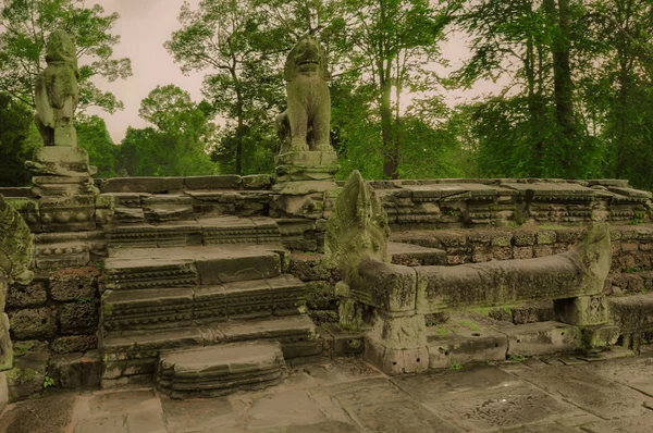Obří strom pokrývající, ta, ples a chrám angkor wat, siem reap, ca — Stock fotografie