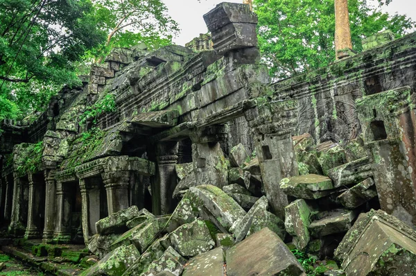 Árbol gigante que cubre el templo de Ta Prom y Angkor Wat, Siem Reap, Ca — Foto de Stock