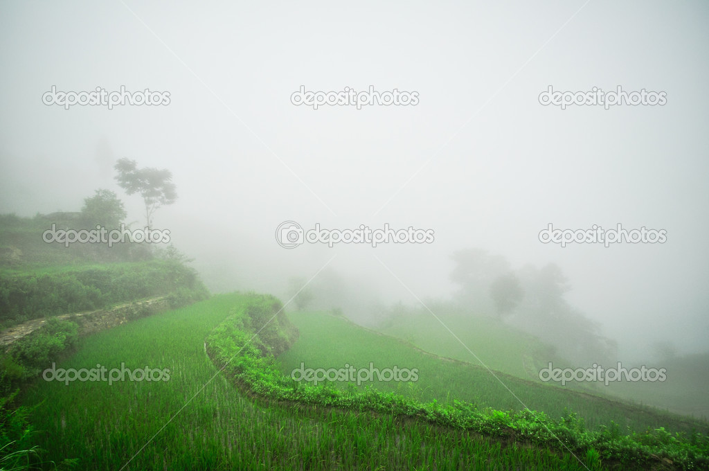 South China, Yunnan - 2011: Rice terraces in highlands
