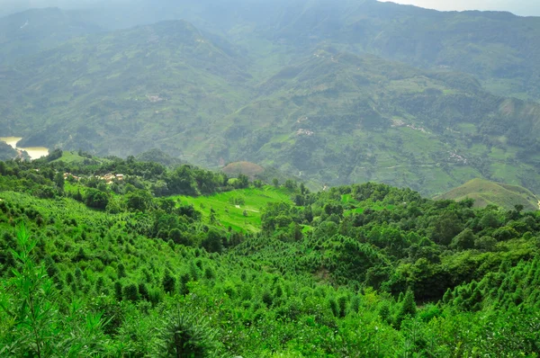 Sur de China, Yunnan - 2011: Terrazas de arroz en las tierras altas — Foto de Stock