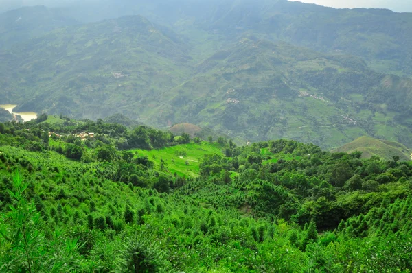 Południowych Chin, yunnan - 2011: ryż tarasy w highlands — Zdjęcie stockowe