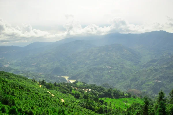 Dél-Kína, yunnan - 2011: rizs teraszok, a Felvidéken — Stock Fotó