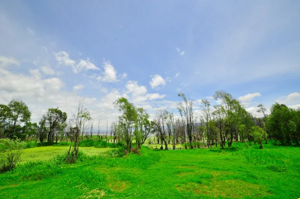 Rebuild Song dynasty town in dali, Yunnan province, China. — Stock Photo, Image