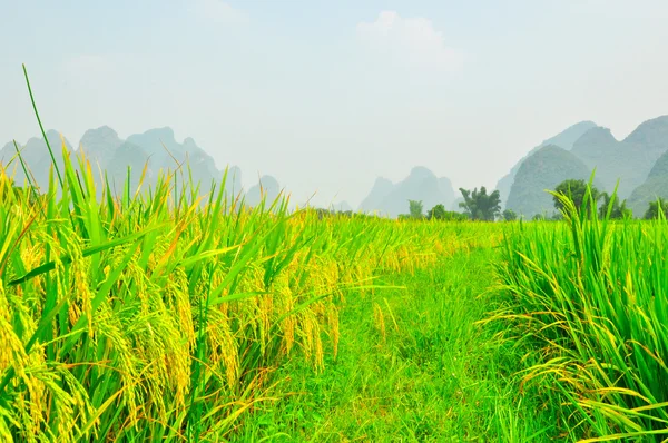 Rzeka Li górski krajobraz w Yangshuo Guilin — Zdjęcie stockowe