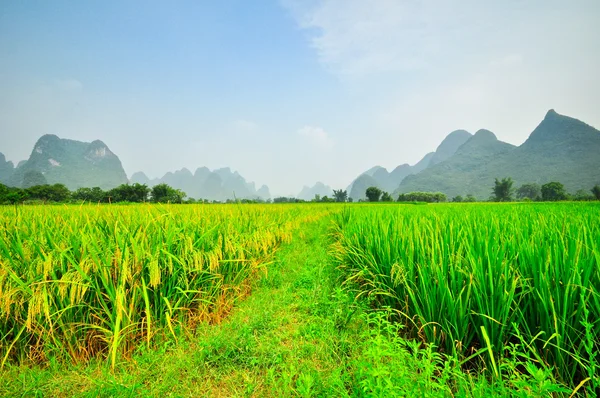 Li říční horská krajina v Yangshuo Guilin — Stock fotografie