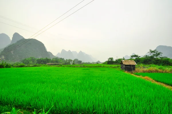 Paysage de montagne de la rivière Li à Yangshuo Guilin — Photo