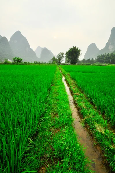 Li říční horská krajina v Yangshuo Guilin — Stock fotografie