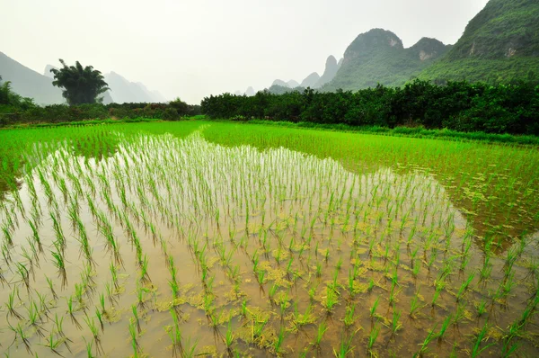 Guilin Li řeka Krasová horská krajina v Yangshuo — Stock fotografie