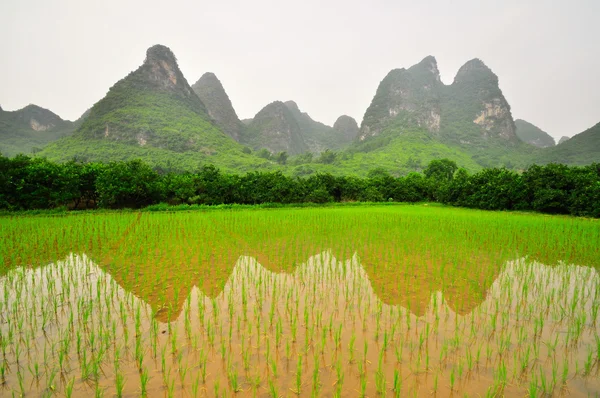 Guilin Li floden Karst bergslandskap i Yangshuo — Stockfoto