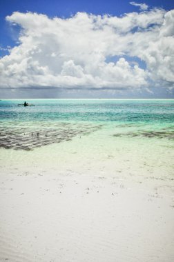 Zanzibar beach Tanzanya
