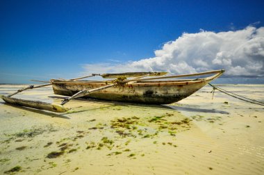 Zanzibar beach Tanzanya