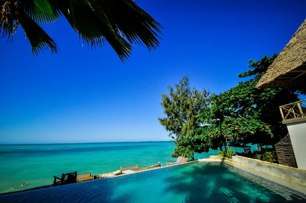 Zanzibar beach Tanzania — Stock Photo, Image