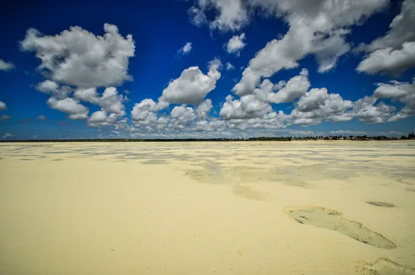 桑给巴尔岛海滩坦桑尼亚 — 图库照片